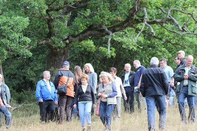 Wanderung zu den Eremitenbäumen im Rahmen der BayernTourNatur.