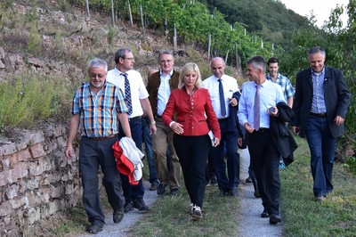 Informationsbesuch in Klingenberg. Zentrales Thema war u.a. das Wassermanagement im Weinberg, ein Aspekt der im Zusammenhang mit dem Klimawandel immer dringlicher wird.