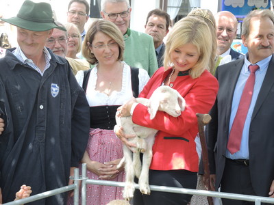 Bei der Eröffnung der "Altmühltaler-Lamm-Erlebnistage" in Eichstätt!
